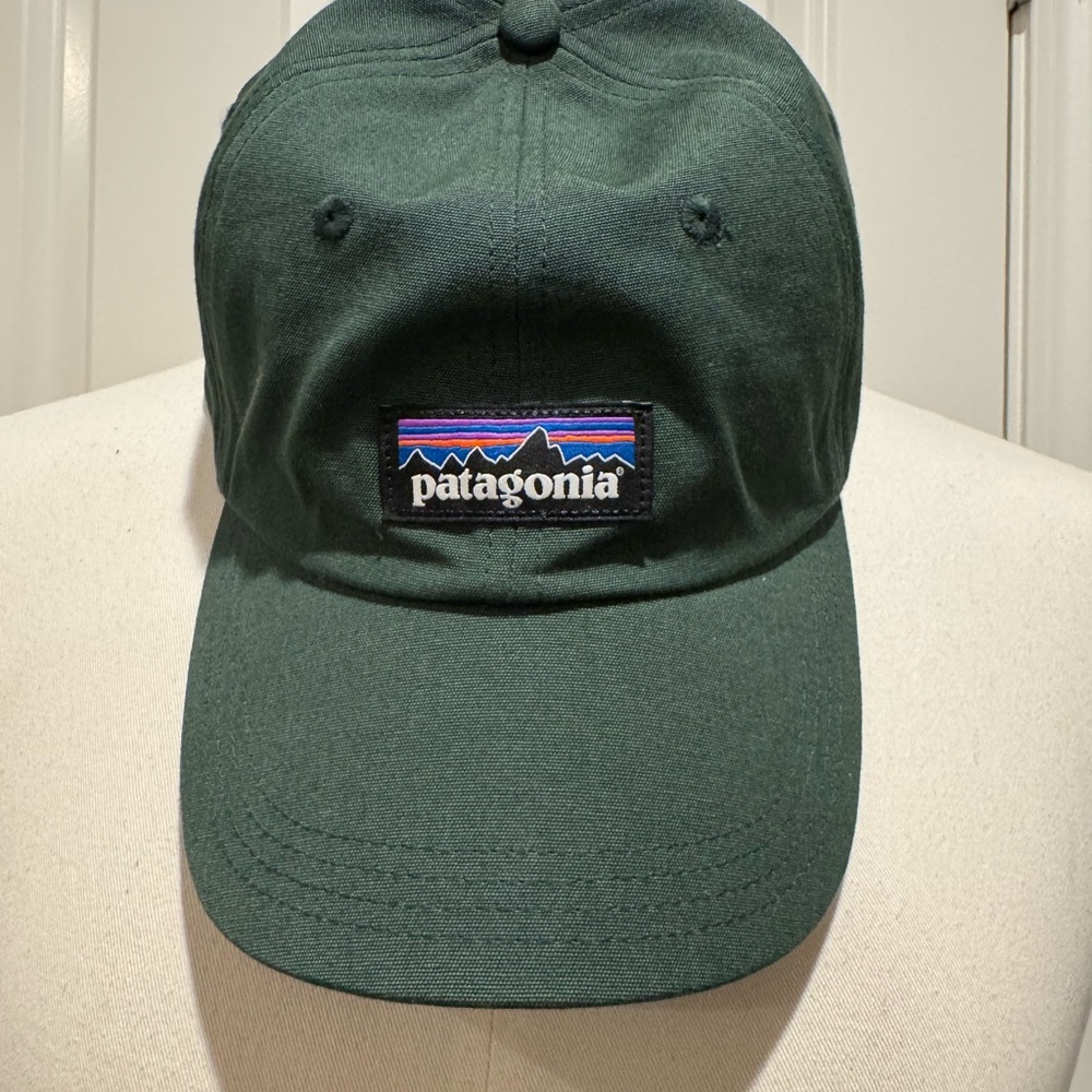Patagonia Adjustable Green Cap